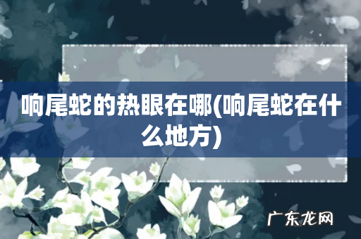 响尾蛇在什么地方 响尾蛇的热眼在哪