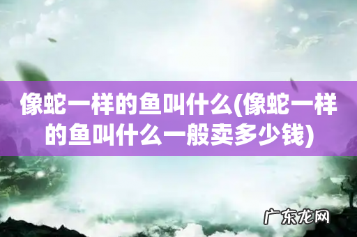像蛇一样的鱼叫什么一般卖多少钱 像蛇一样的鱼叫什么