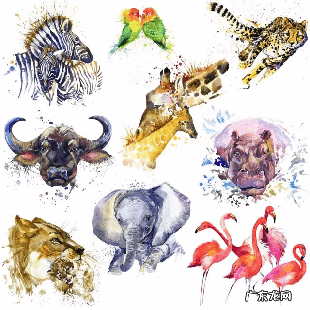 有高级感的英文名 好看的英文名字