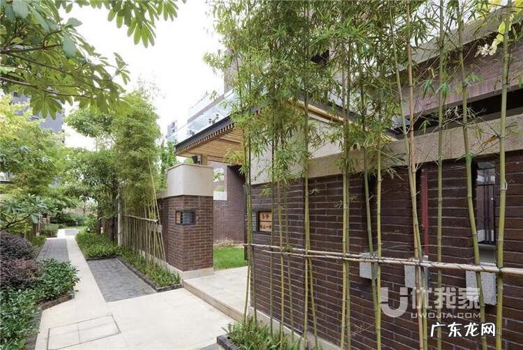 梯子放家里什么地方好风水 门口放梯子风水