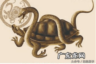 风水中的玄武是什么 风水上什么叫玄武