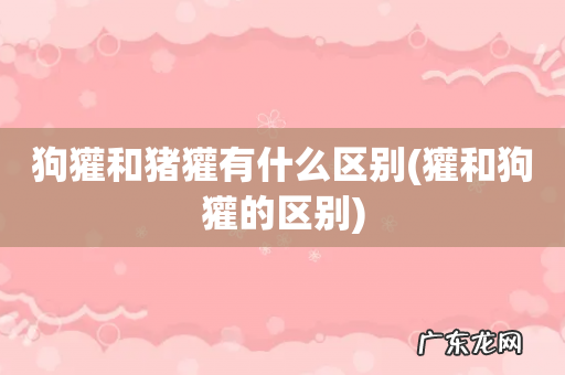 獾和狗獾的区别 狗獾和猪獾有什么区别