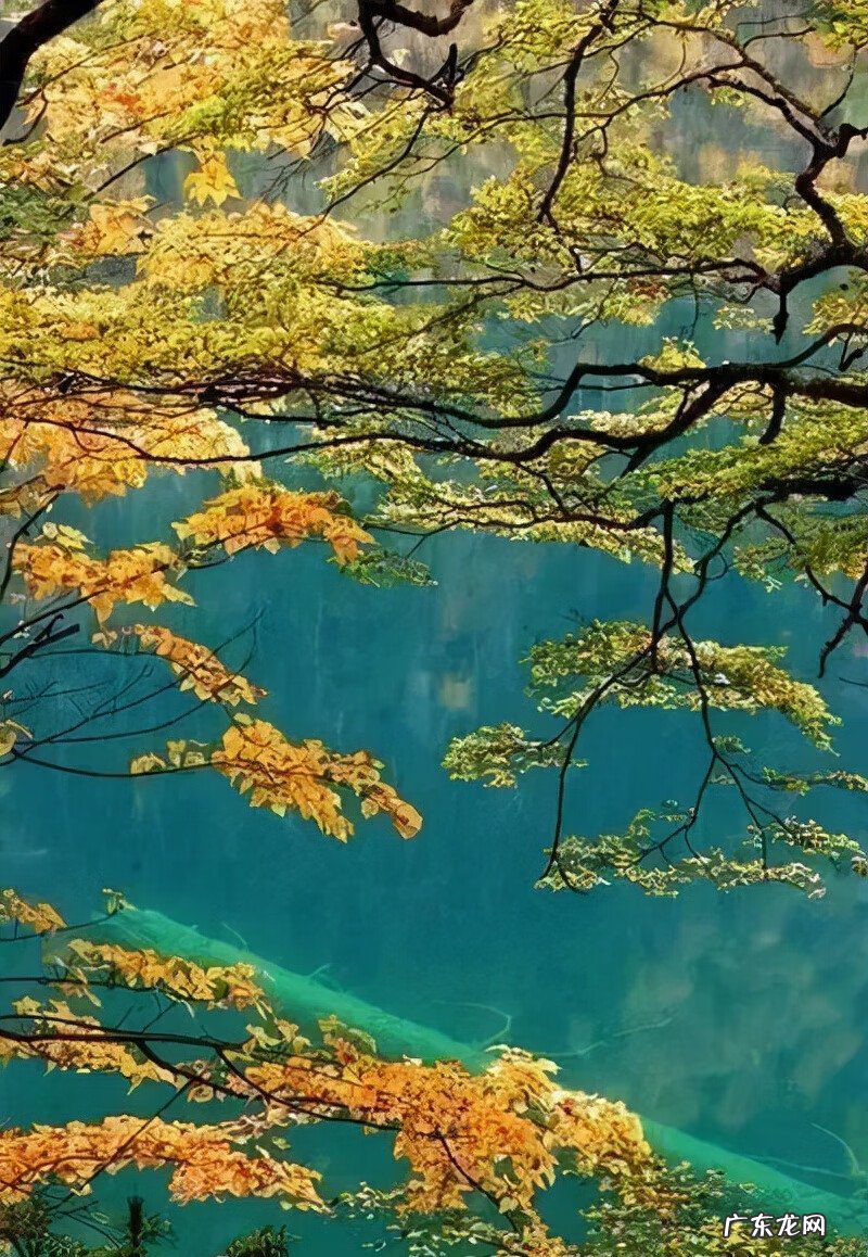 古诗秋天的诗句有哪些 关于秋天的诗句古诗名句