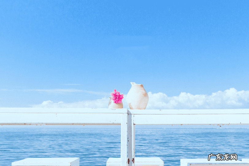 水瓶座是什么属性 水瓶座是水象吗