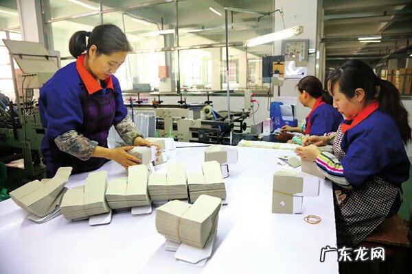 易拉罐的故事的作文 易拉罐的故事有什么启示