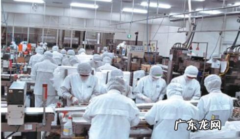 易拉罐的故事的作文 易拉罐的故事有什么启示