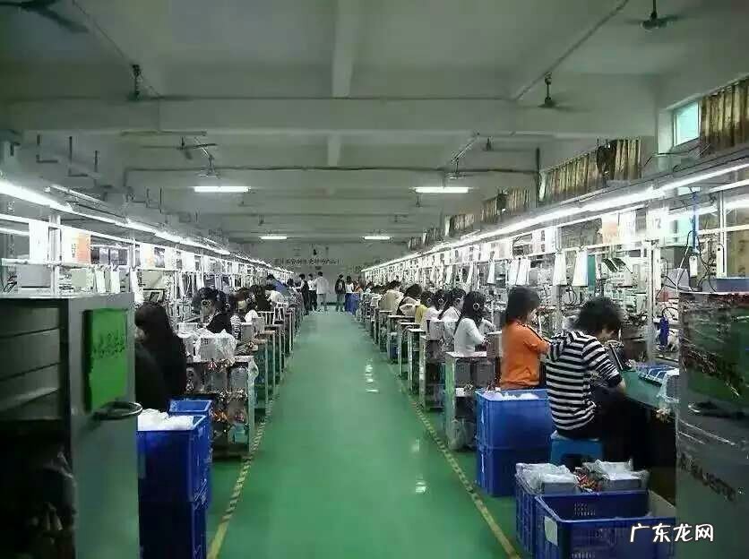 易拉罐的故事的作文 易拉罐的故事有什么启示