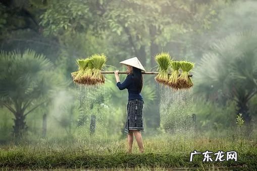 五一劳动节的诗歌10首 五一诗歌怎么写