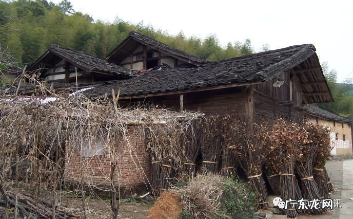 最好的风水先生 福建霞浦风水大师