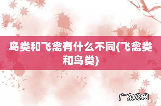 飞禽类和鸟类 鸟类和飞禽有什么不同