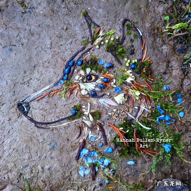 树叶背景素材 树叶素材图