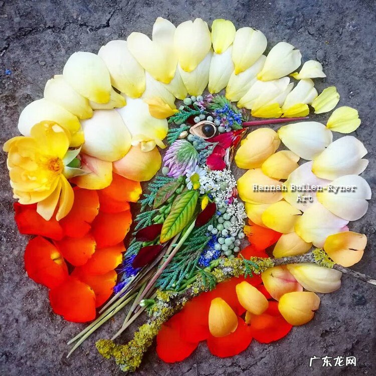 树叶背景素材 树叶素材图