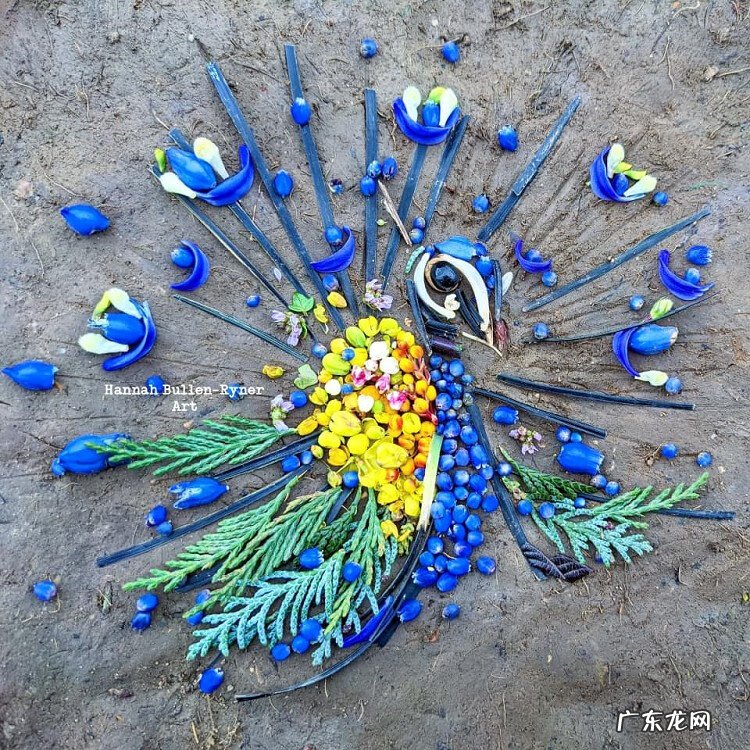 树叶背景素材 树叶素材图