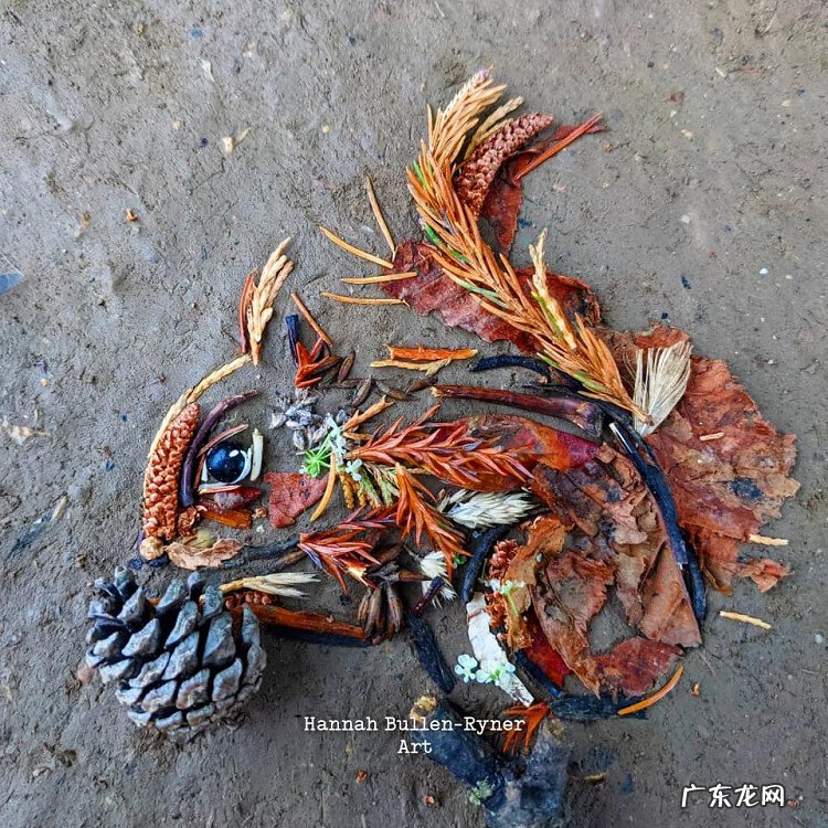 树叶背景素材 树叶素材图