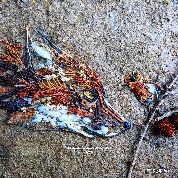 树叶背景素材 树叶素材图