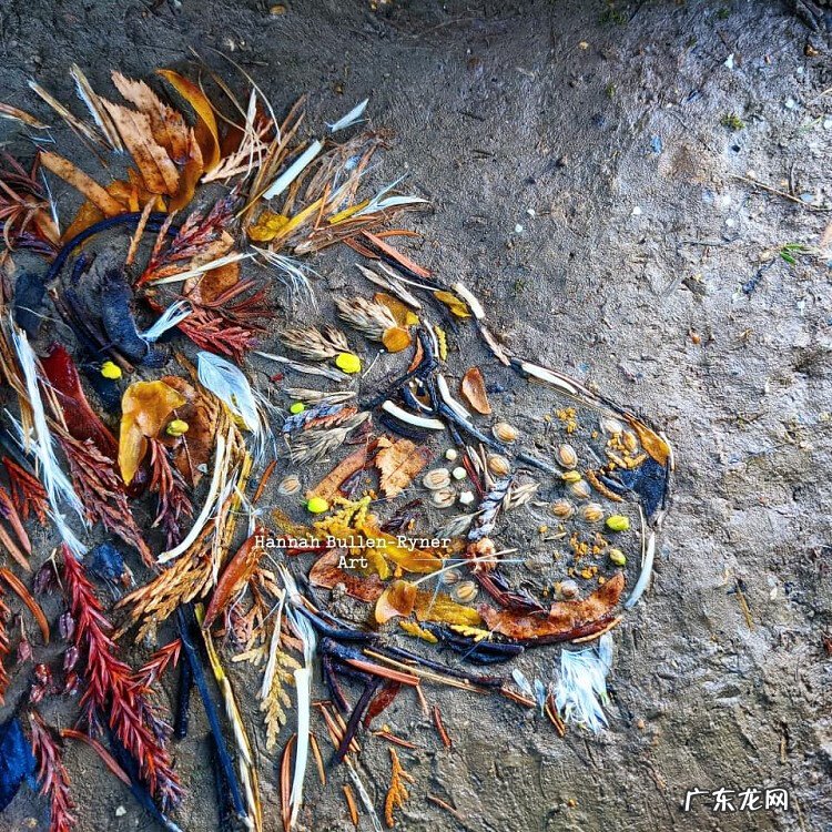 树叶背景素材 树叶素材图