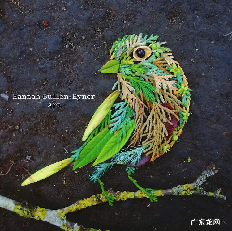 树叶背景素材 树叶素材图