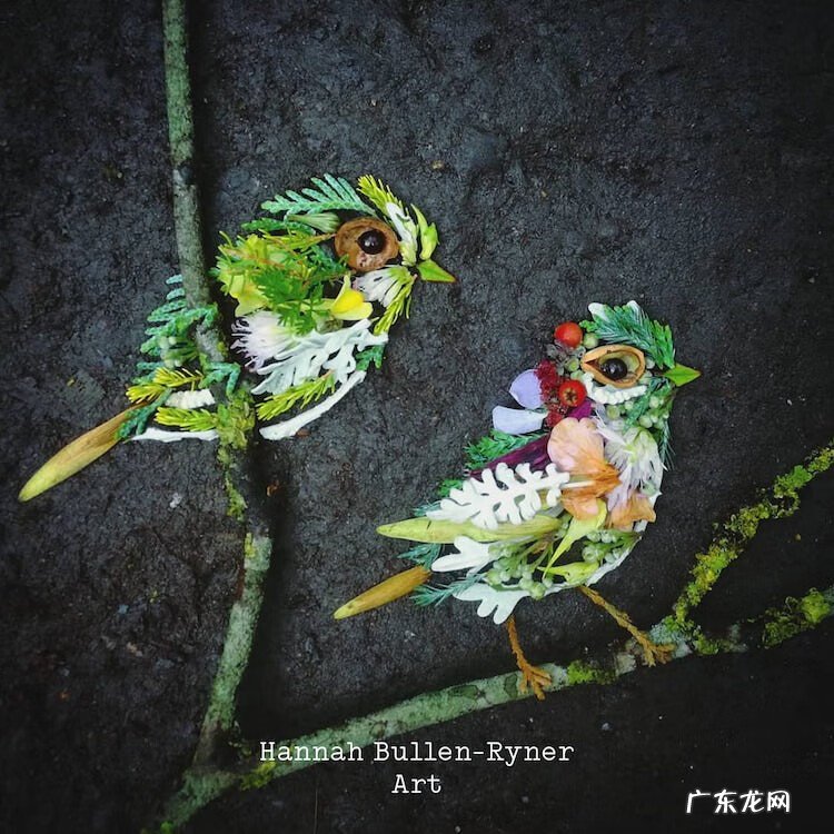 树叶背景素材 树叶素材图