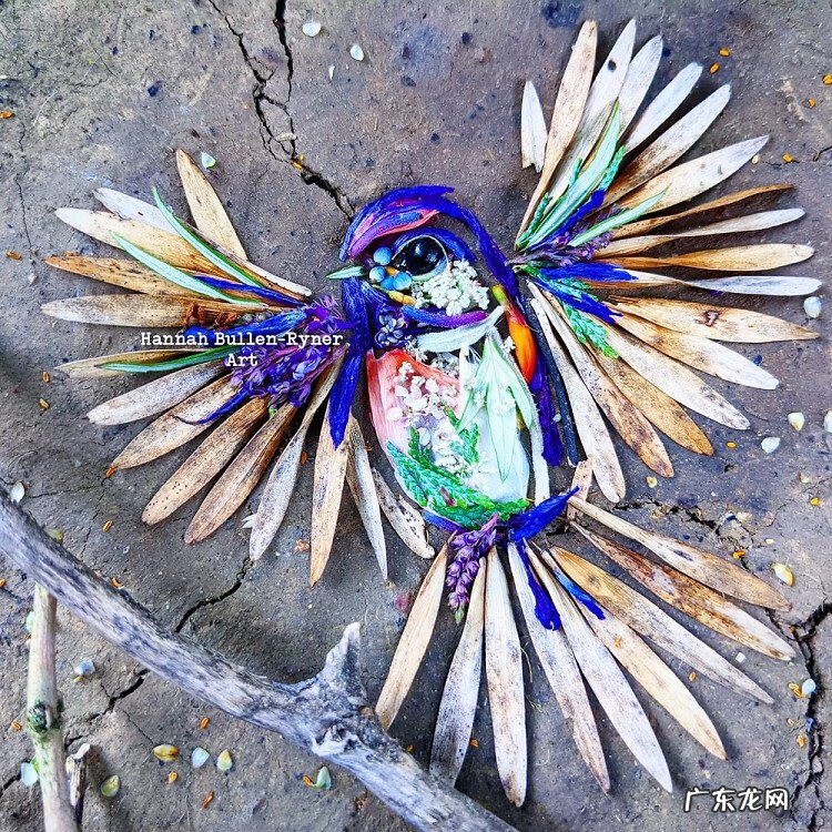 树叶背景素材 树叶素材图