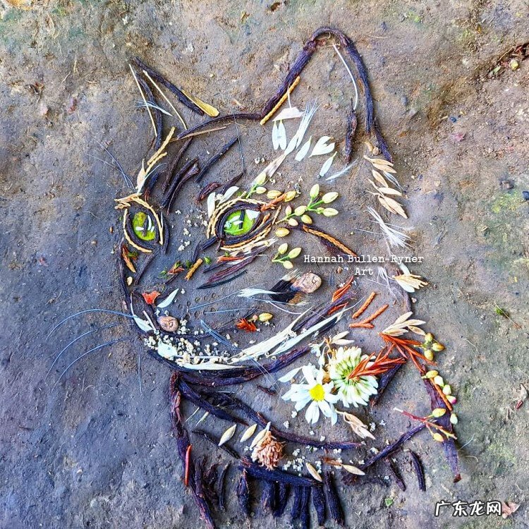 树叶背景素材 树叶素材图