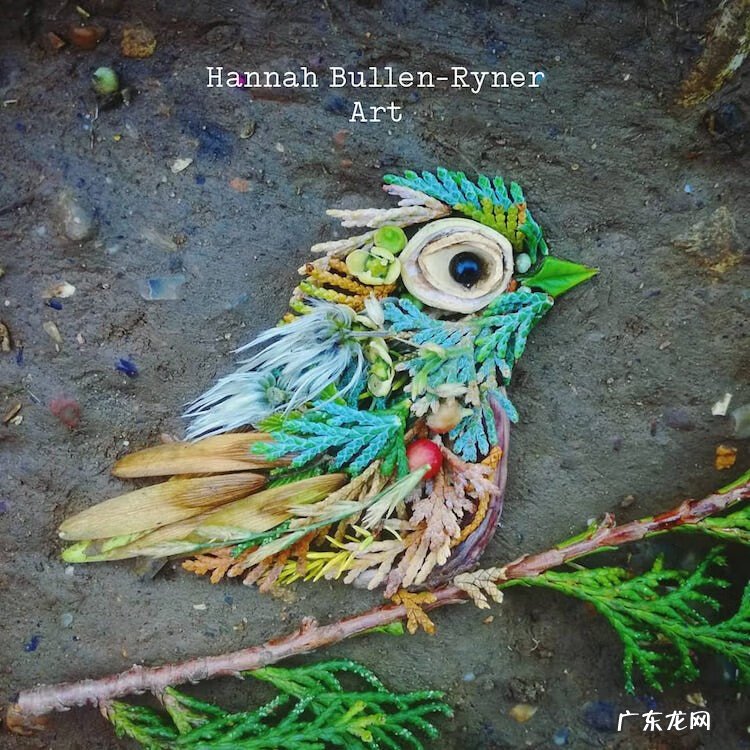 树叶背景素材 树叶素材图