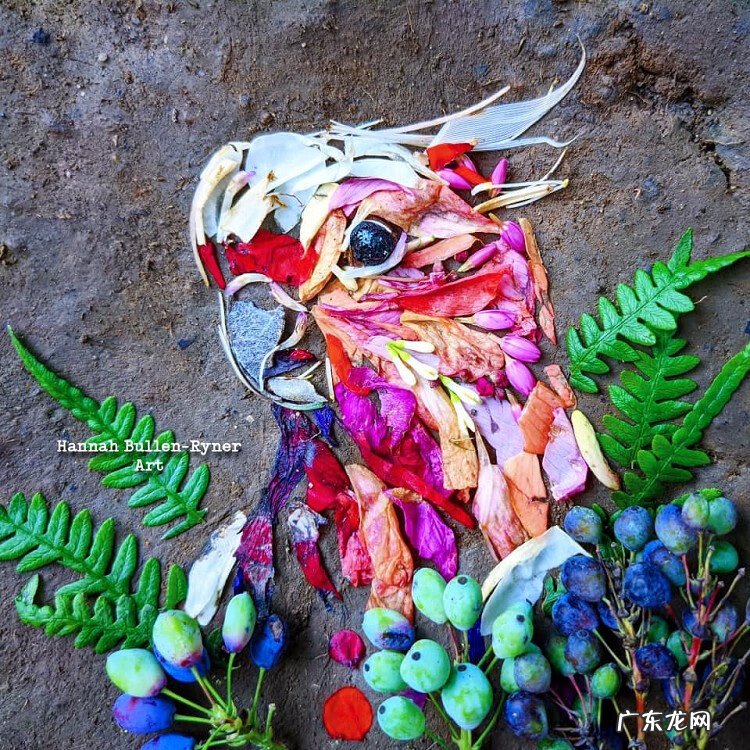 树叶背景素材 树叶素材图