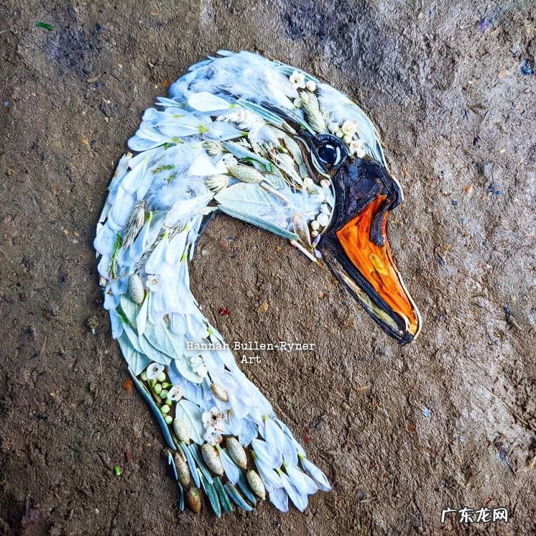 树叶背景素材 树叶素材图