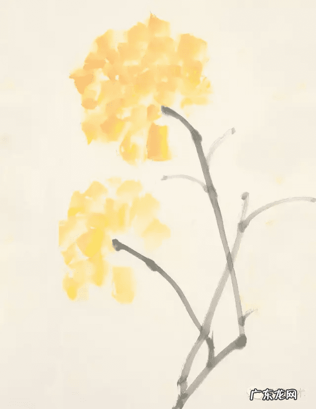 牡丹花寓意和象征风水 风水五色牡丹图