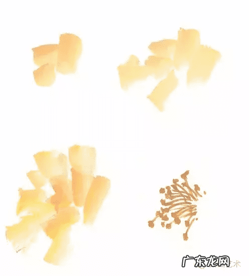 牡丹花寓意和象征风水 风水五色牡丹图