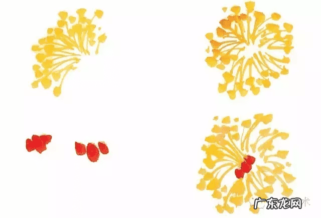 牡丹花寓意和象征风水 风水五色牡丹图