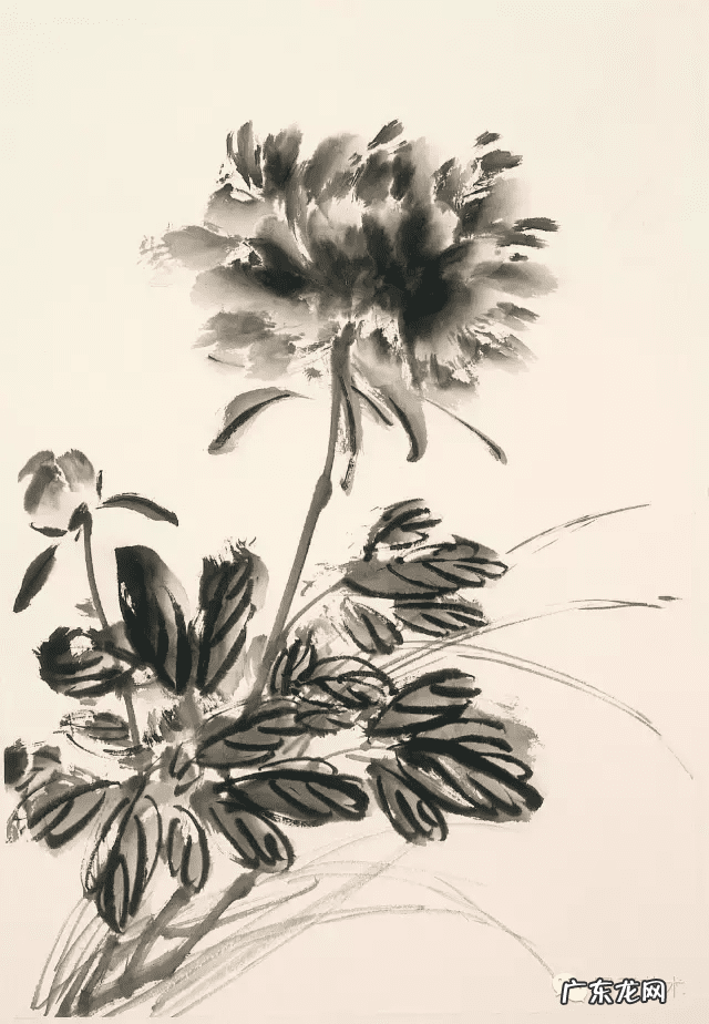 牡丹花寓意和象征风水 风水五色牡丹图