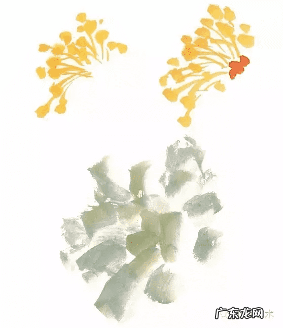 牡丹花寓意和象征风水 风水五色牡丹图