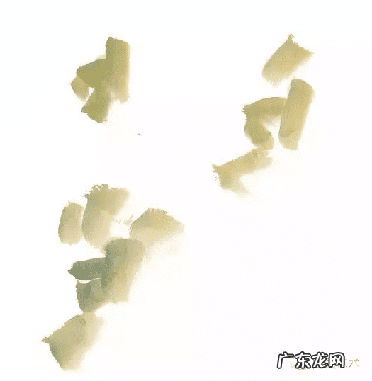 牡丹花寓意和象征风水 风水五色牡丹图