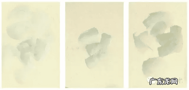 牡丹花寓意和象征风水 风水五色牡丹图