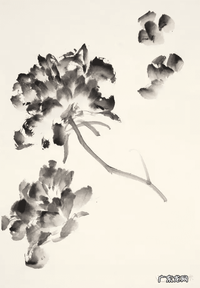 牡丹花寓意和象征风水 风水五色牡丹图