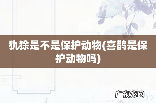 喜鹊是保护动物吗 犰狳是不是保护动物