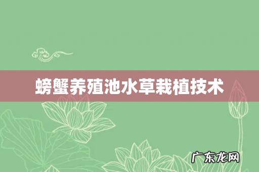 螃蟹养殖池水草栽植技术