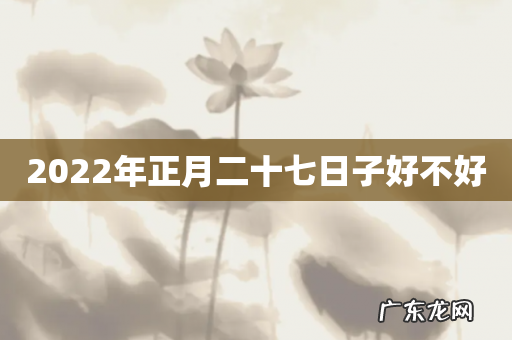 2022年正月二十七日子好不好