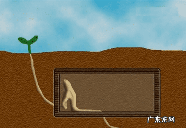 九龙吸水风水寓意 五龙抢宝风水