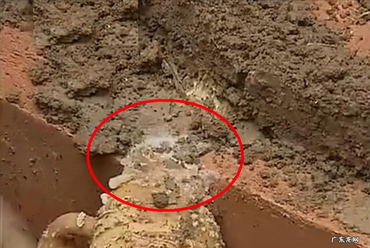 九龙吸水风水寓意 五龙抢宝风水