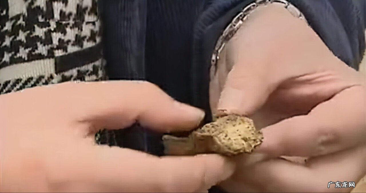 九龙吸水风水寓意 五龙抢宝风水