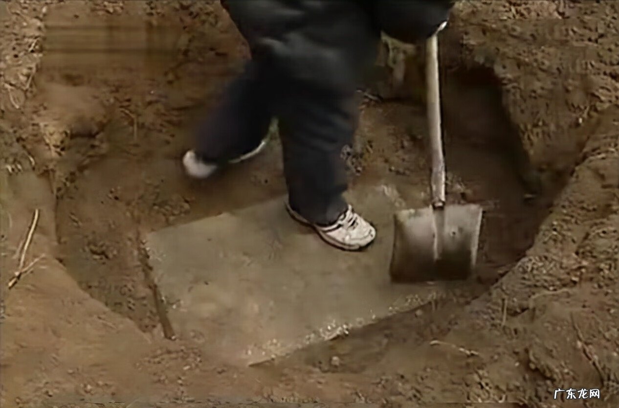 九龙吸水风水寓意 五龙抢宝风水