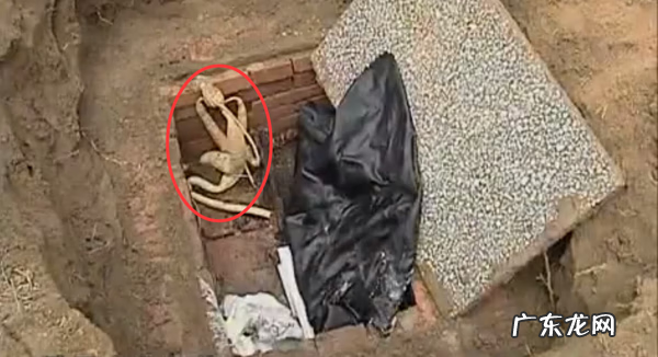 九龙吸水风水寓意 五龙抢宝风水