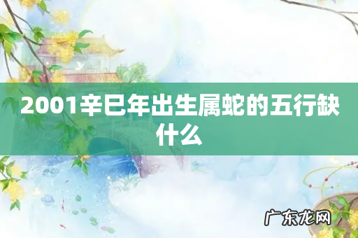 2001辛巳年出生属蛇的五行缺什么