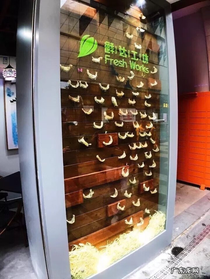 燕窝为什么叫官燕 上官燕燕窝怎么样