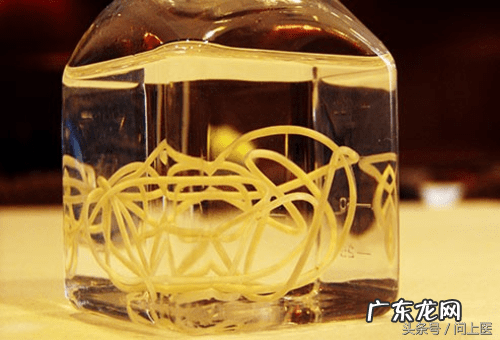 十大寄生虫病 寄生虫病症状