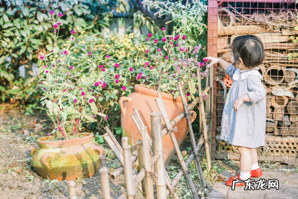 红黄蓝亲子歌曲儿歌大全 红黄蓝宝宝之歌视频