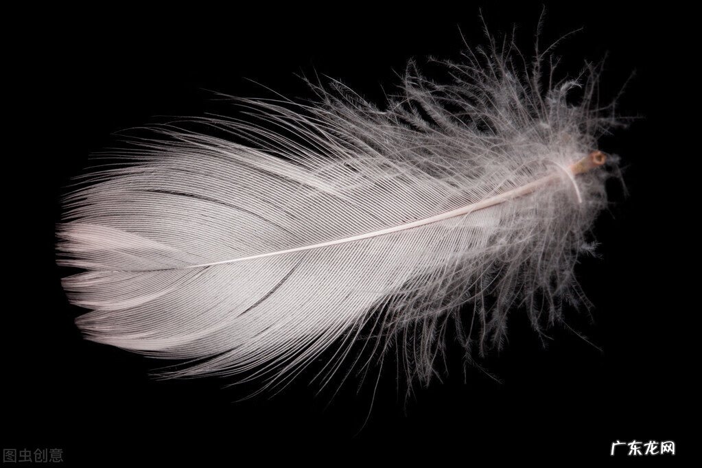 红黄蓝亲子歌曲儿歌大全 红黄蓝宝宝之歌视频