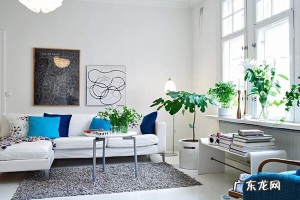 门口风水十大禁忌 植物的风水禁忌