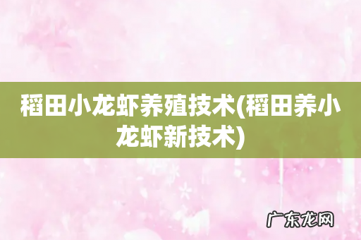 稻田养小龙虾新技术 稻田小龙虾养殖技术